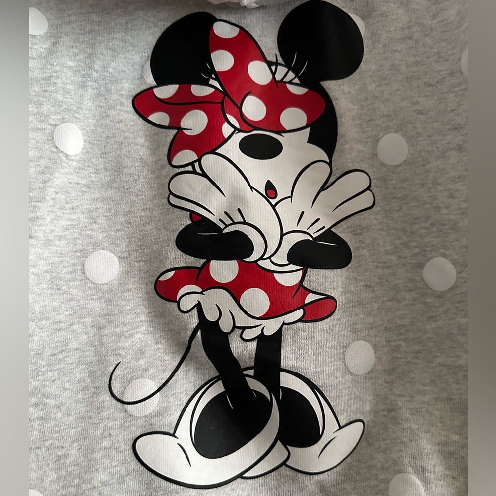 Disneyland Gray Hoodie with Red Minnie Accent, size XL